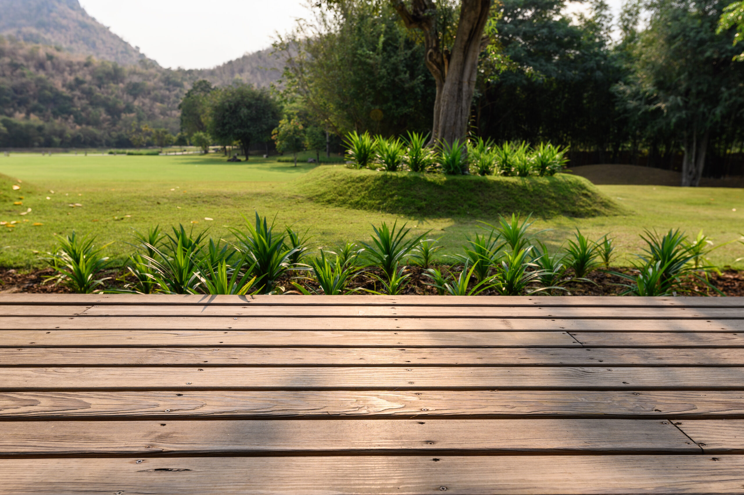 An empty wooden plank deck overlooking a lush green garden